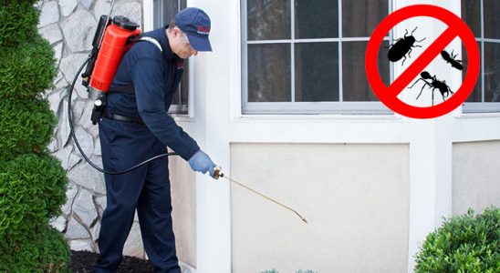 Hassa Gümüşkurt İlaçlama böcek ilaçlama ve haşere kontrolü — ilaclama-tr.com